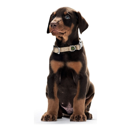 Hundehalsbånd – Hunter Alu-Strong, Orange (Str. M)