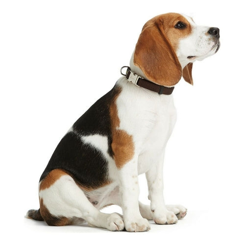 Hundehalsbånd – Hunter Alu-Strong, Orange (Str. M)