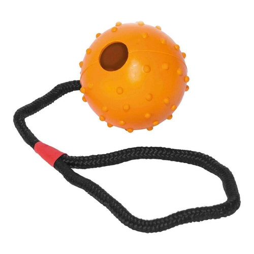Tyggelegetøj med snor (6 cm/30 cm)