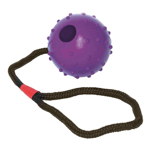 Tyggelegetøj med snor (6 cm/30 cm)