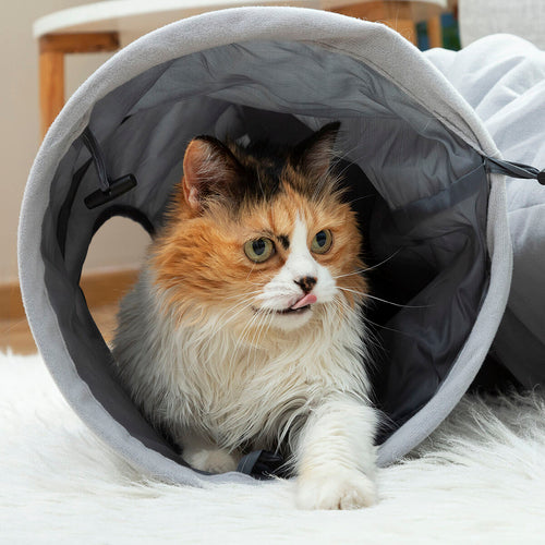 Katte tunnel, sammenklappelig