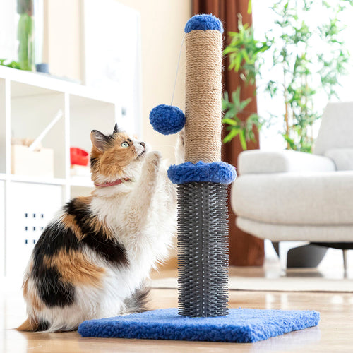 Kradse- og massagebræt til kat
