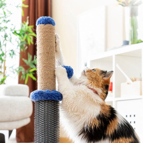 Kradse- og massagebræt til kat