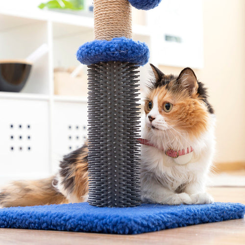 Kradse- og massagebræt til kat